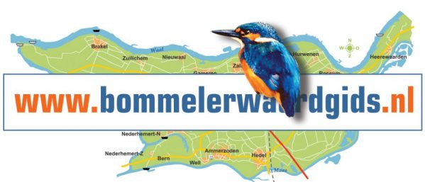 Bommelerwaardgids-logo-ijsvogel-kaart-e1481130490645